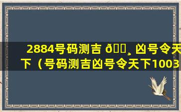 2884号码测吉 🕸 凶号令天下（号码测吉凶号令天下1003）